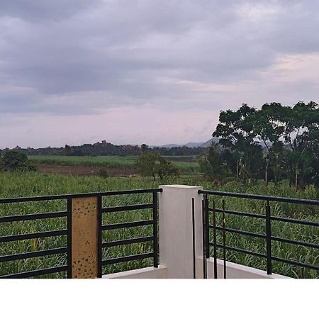 Coconut Homestay Hampi Dış mekan fotoğraf
