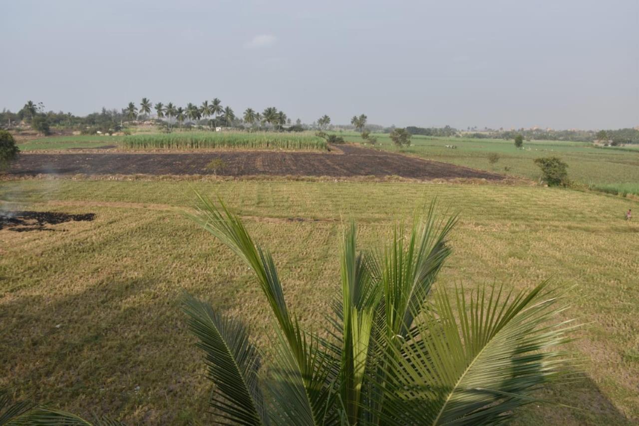 Coconut Homestay Hampi Dış mekan fotoğraf