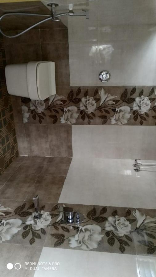 Coconut Homestay Hampi Dış mekan fotoğraf
