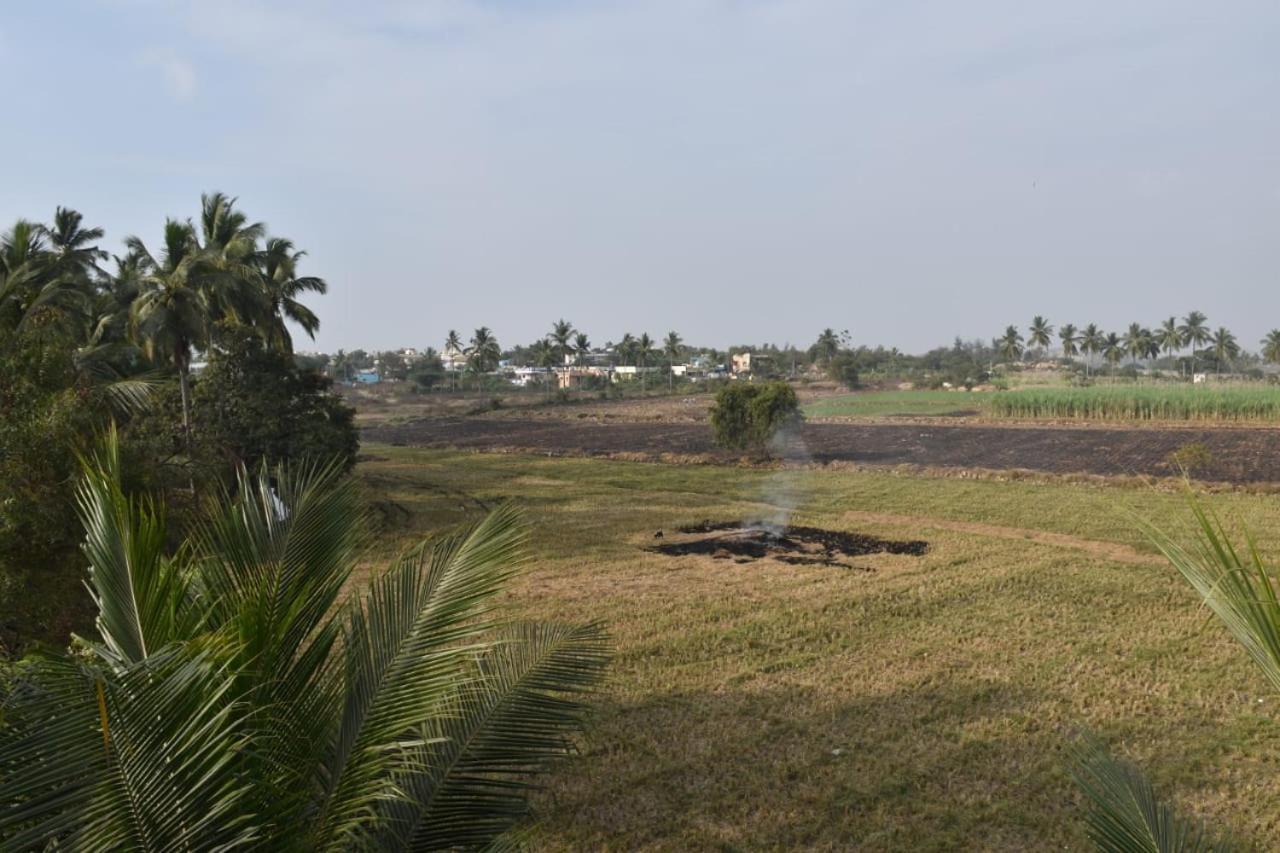Coconut Homestay Hampi Dış mekan fotoğraf